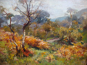 Autumn Colours by William Mill