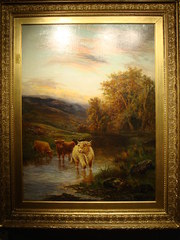 Highland Cattle by Daniel Sher