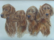 Julia Brenan Oil on Canvas Boa