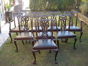 Antique Set 8 Chippendale Styl