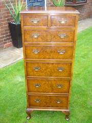 Antique Slim Burr Walnut Chest