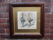 Antique Watercolour Fighting C