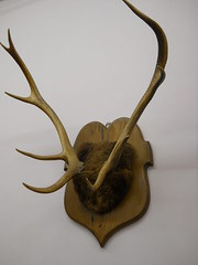 antique