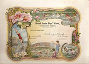 Certificate of Merit  dated 19