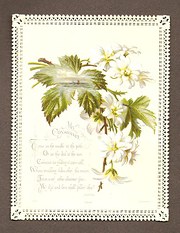 Victorian Valentine Card  1880