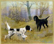 A Pair of Pointers Leo van Cau