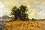 Harvesting Thomas Octavius Cla