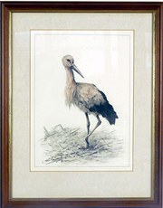 Stork Leo van Cauwenbergh