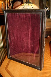 Victorian Display Case