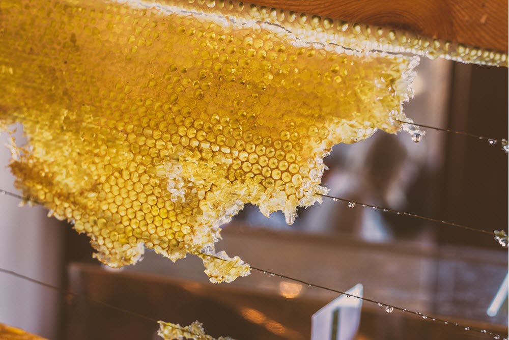 Bees. Bees!