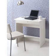 Gina Study Desk