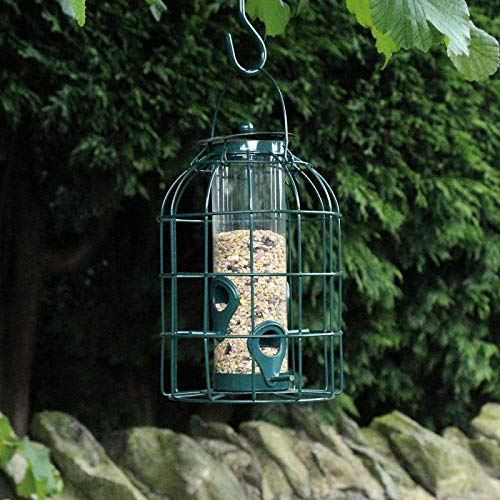 New Kingfisher Hanging Wild Bird Seed Feeder Squirrel Pest Resistant Metal Cage