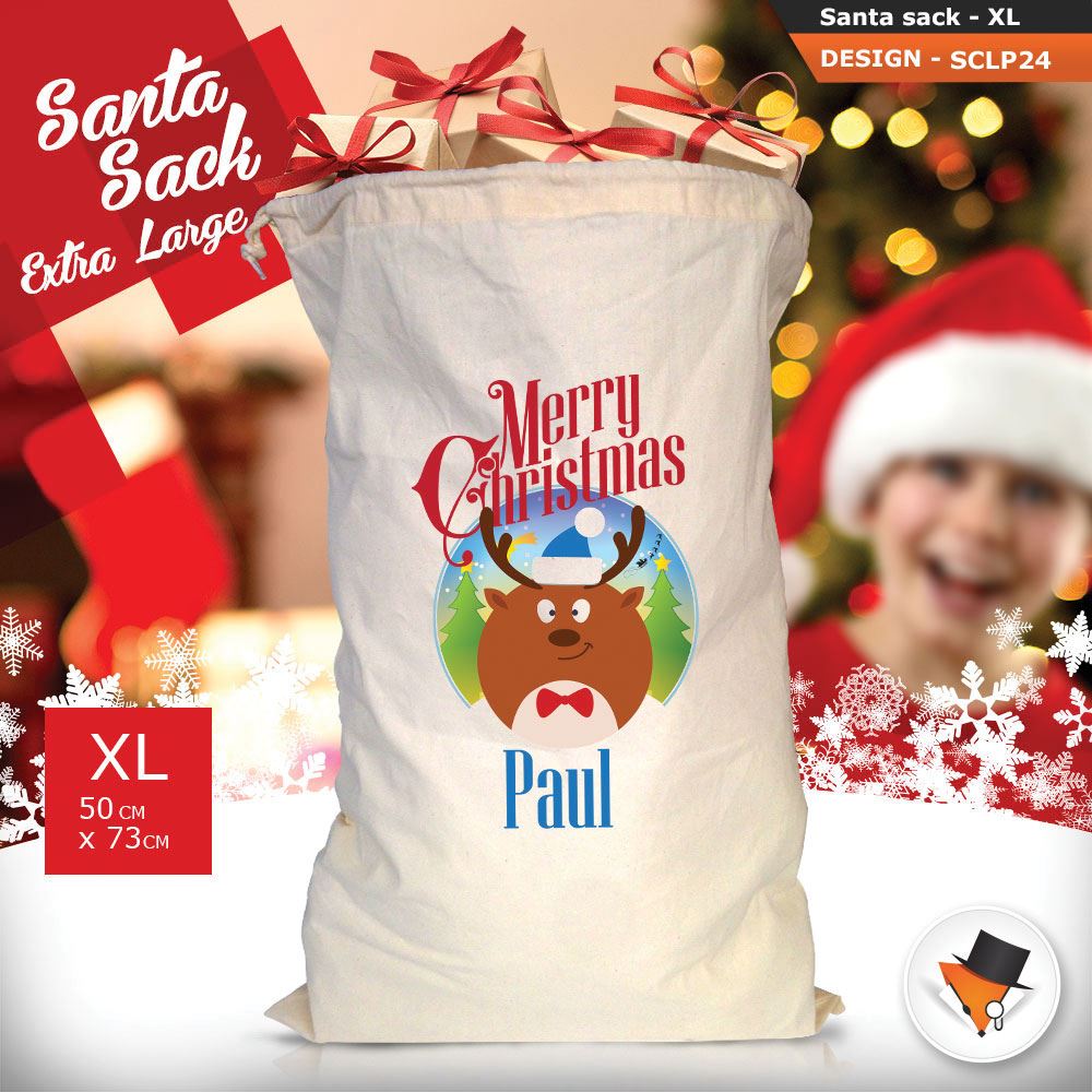 Personalised Childrens Santa Sack Christmas Bag Cartoon Cute Penguin Blue 2018