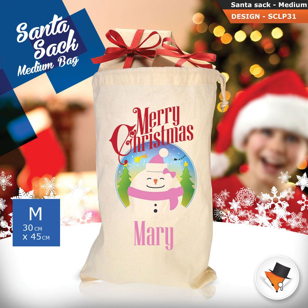 Personalised Childrens Santa Sack Christmas Bag Cartoon Cute Penguin Blue 2018