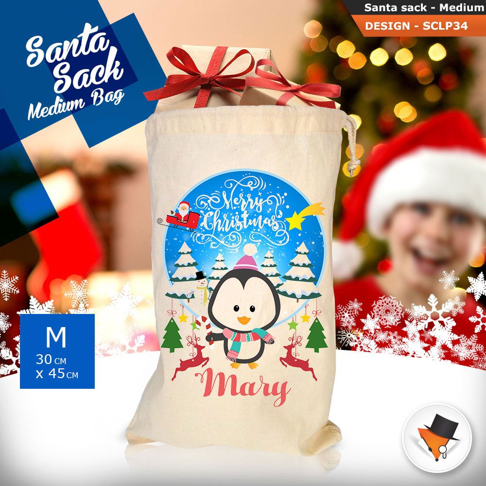 Personalised Childrens Santa Sack Christmas Bag Cartoon Cute Penguin Blue 2018