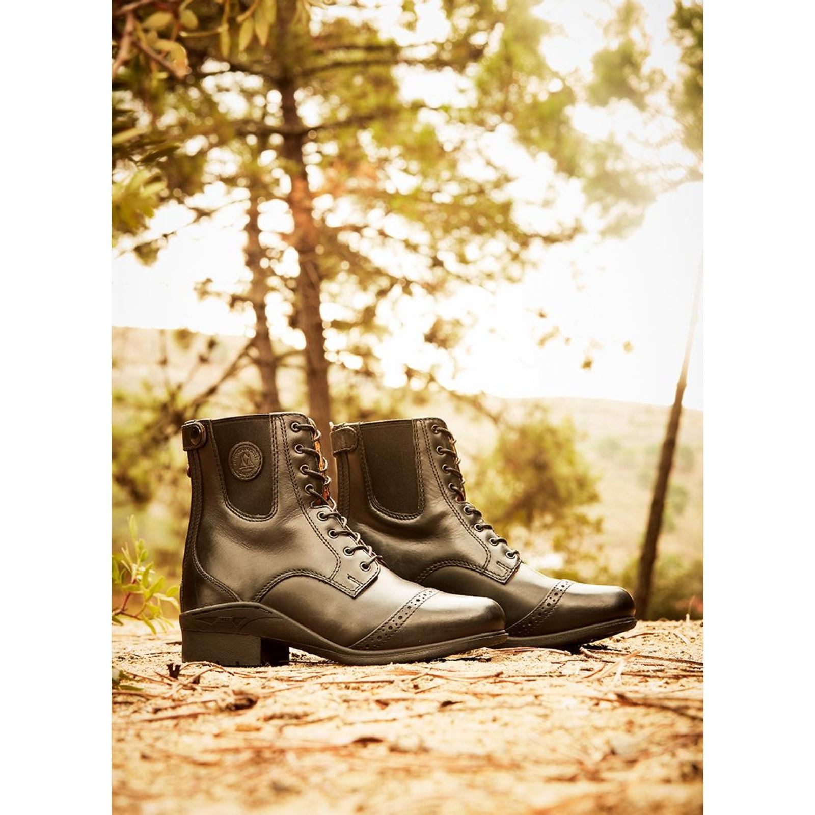 Mountain Horse Aurora Fermeture Éclair Arrière Paddock Bottes