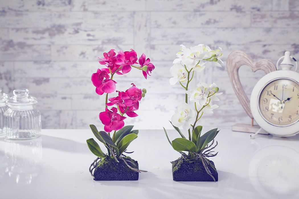 Topiary Flowers Orchid Moss /& Root in White Artificial