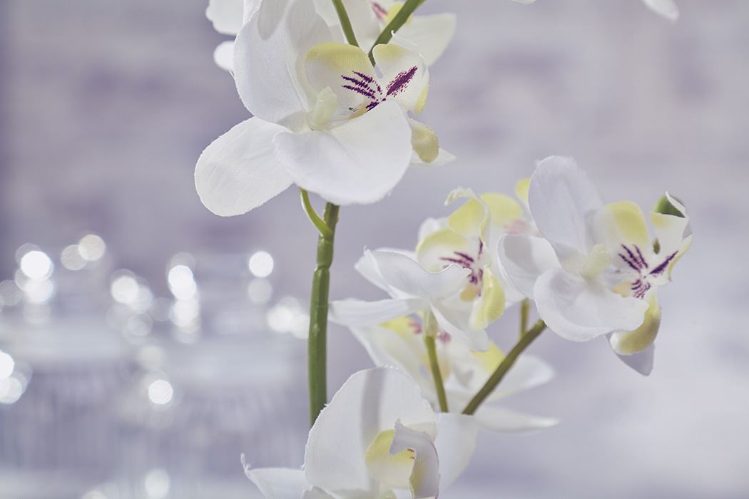 Topiary Flowers Orchid Moss /& Root in White Artificial