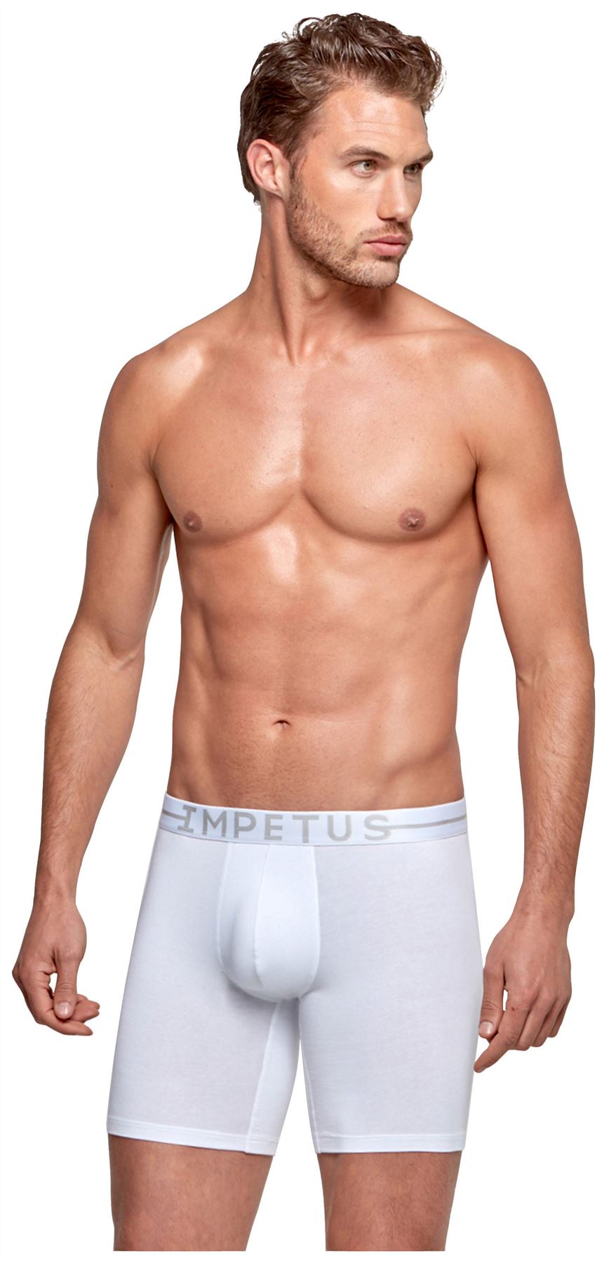 Impetus Cotton Stretch Long Boxer mens underwear short longer leg sporty trunk