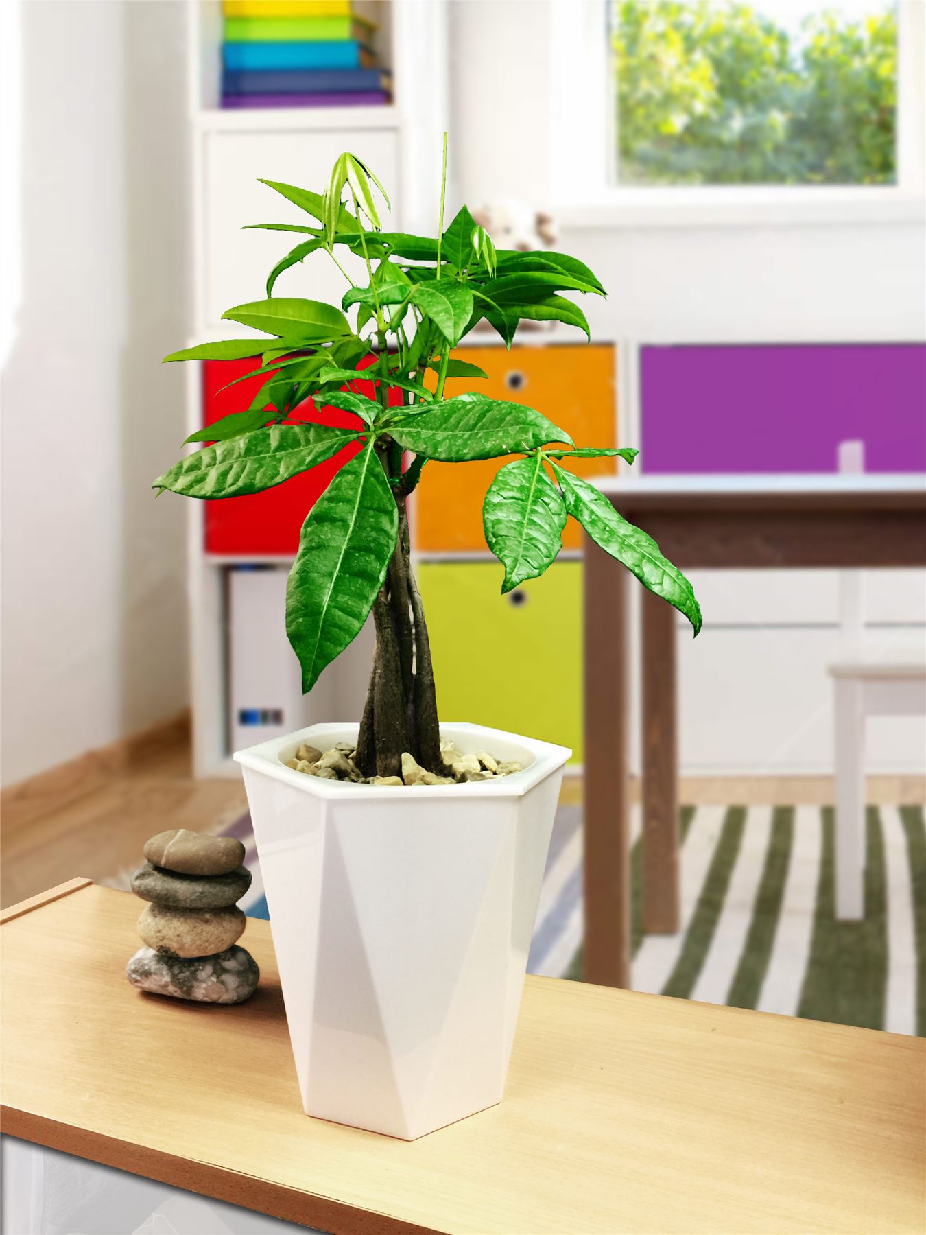 1 tableau plante en blanc brillant Rhombus Auto Watering pot Bureau Patio Maison Jardin