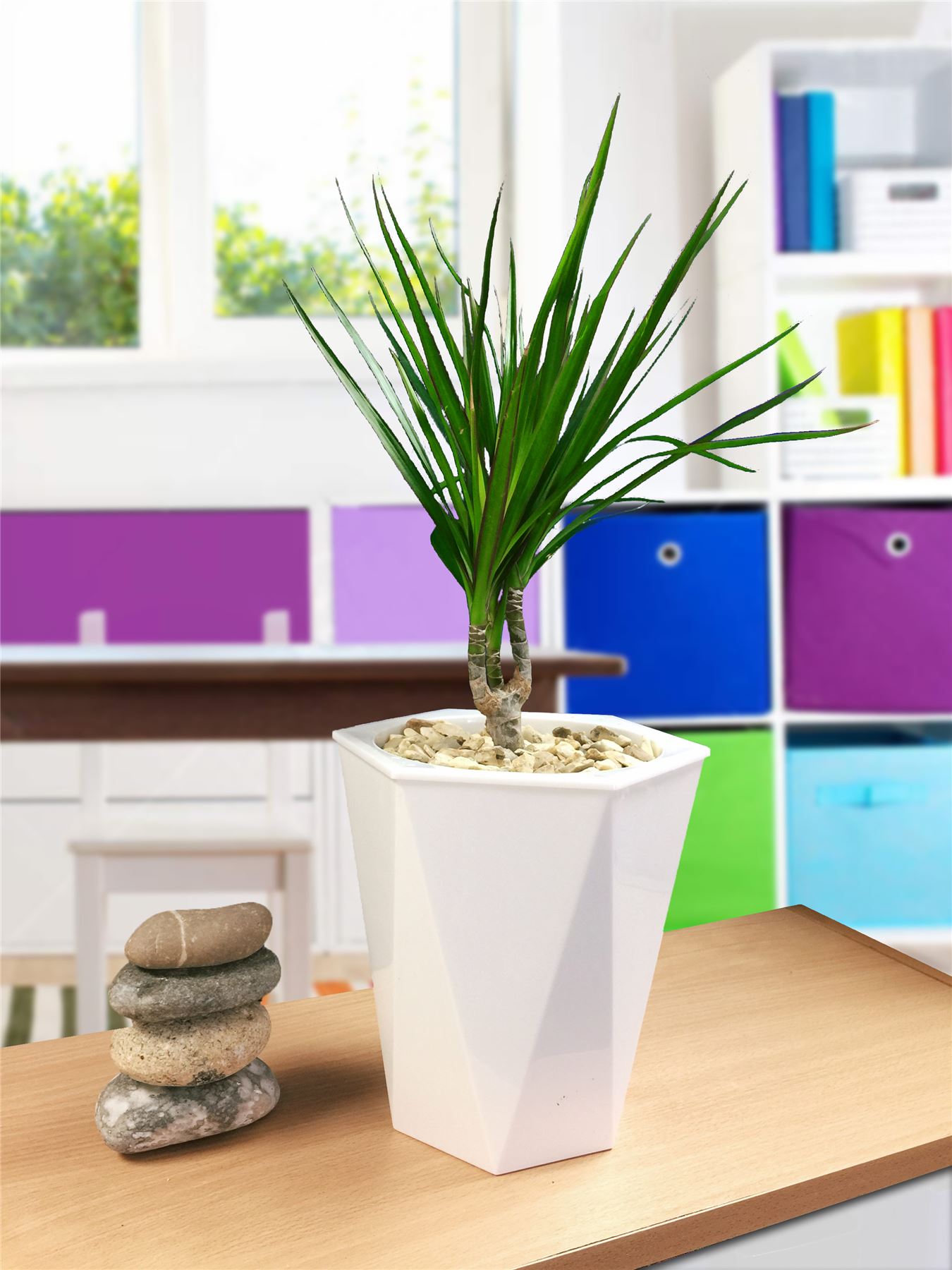 1 tableau plante en blanc brillant Rhombus Auto Watering pot Bureau Patio Maison Jardin
