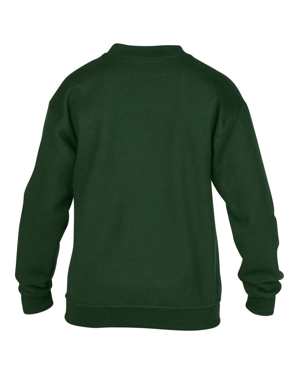Gildan Plain Kids Boys Girls Childrens School Sweatshirt Jumper Top Fleece