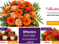 Euroflorist Danmark Logo