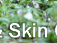 Hair & Skin Care