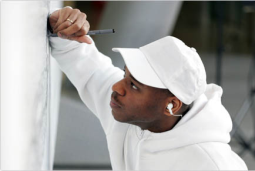 The Stephen Wiltshire Gallery