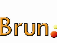 BlivBrun.dk