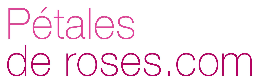 Petales-de-roses