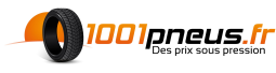 1001pneus