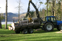 www.toolsandtimber.co.uk