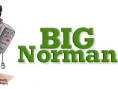 BigNorman Logo