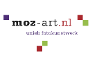 Moz-Art.nl
