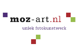 Moz Art