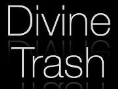 Divine Trash Clothing Logo
