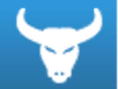 Bisonfitness Logo
