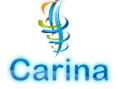 www.carinait.com