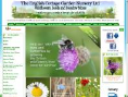 www.englishplants.co.uk