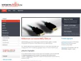 netzwerkwelten.com