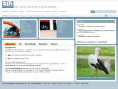 www.etuforsikring.dk