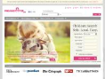findababysitter.com