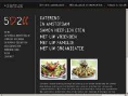 www.5broden2vissencatering.nl