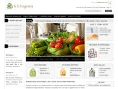 bbbegonia.com