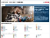 Bosch Professional