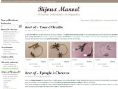 www.bijoux-manoel.com