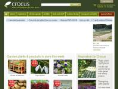 www.crocus.co.uk