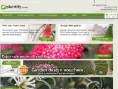 www.plantify.co.uk