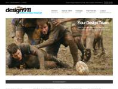 design911.com